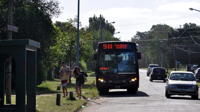 511 colectivo
