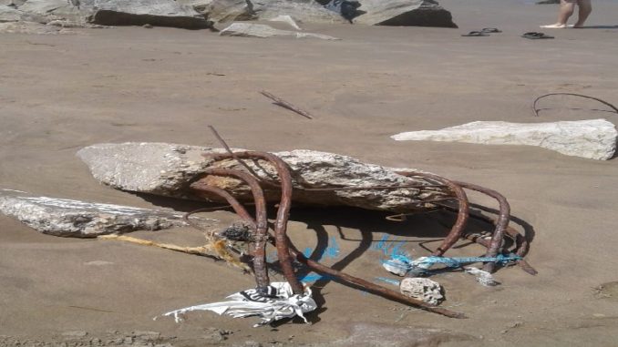 Playa zona sur