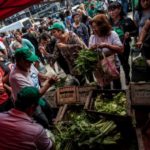 Verdurazo en Mar del Plata: productores y consumidores estafados