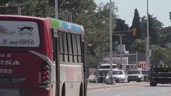 colectivo