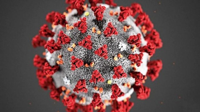 coronavirus