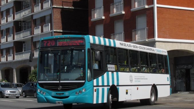colectivos
