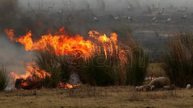 incendios
