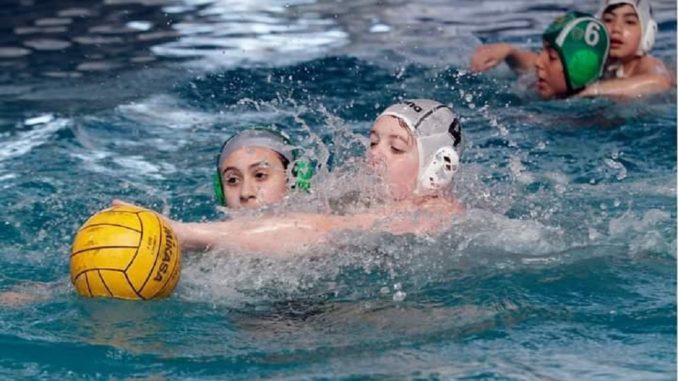 waterpolo