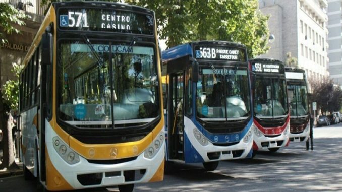 colectivo