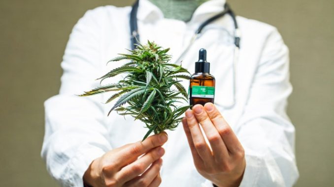cannabis medicinal