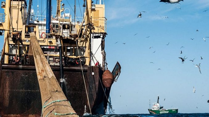 pesca - barco