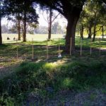 Privatización: La causa judicial del Parque Camet se encuentra frenada