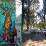 “El Estado municipal destruyó los murales comunitarios de Parque Camet”