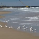 El tiempo este viernes en Mar del Plata