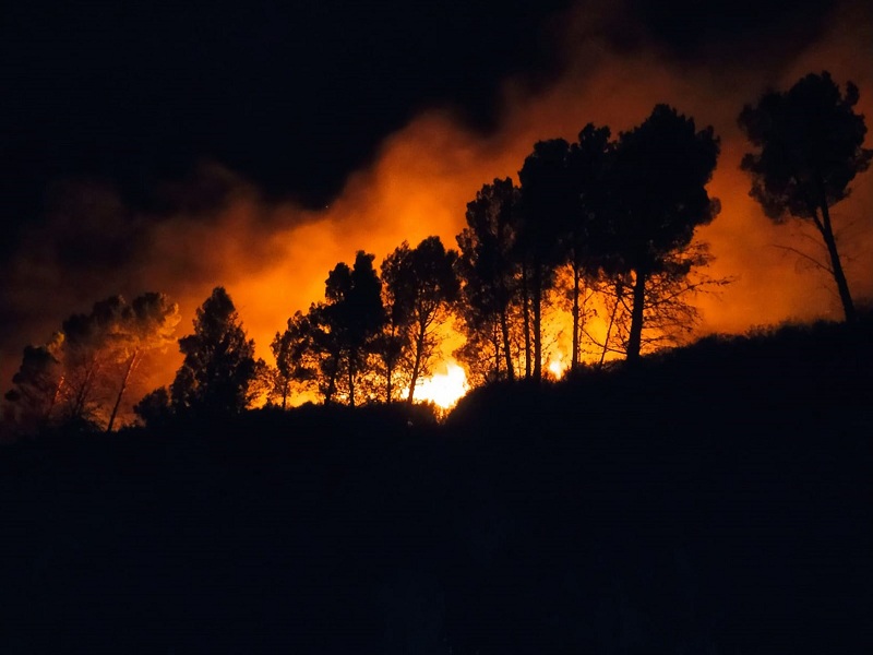 Incendios forestales generaron récord de emisiones de gases en Sudamérica