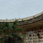 Solicitan “medidas urgentes” por la invasión de palomas en el Cementerio Parque Municipal